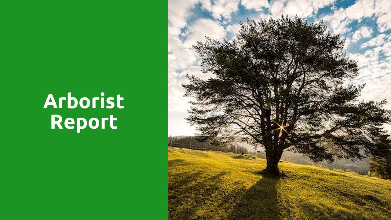 arborist report